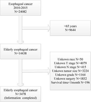 Construction of survival prediction model for elderly esophageal cancer